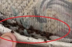 plostica postelna v matraci